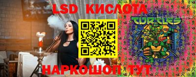 бошки Сланцы