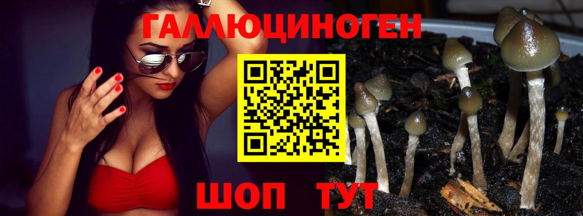Псилоцибиновые грибы мицелий  Галлюциногенные грибы прущие грибы  Вход с VPN  Полевской 